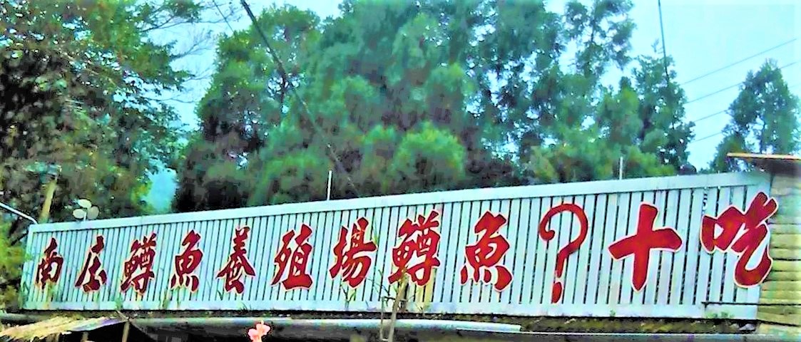 聯照